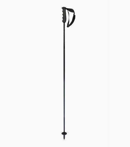 PORSCHE HEAD Carbon Ski Poles | Porsche Design Exclusive