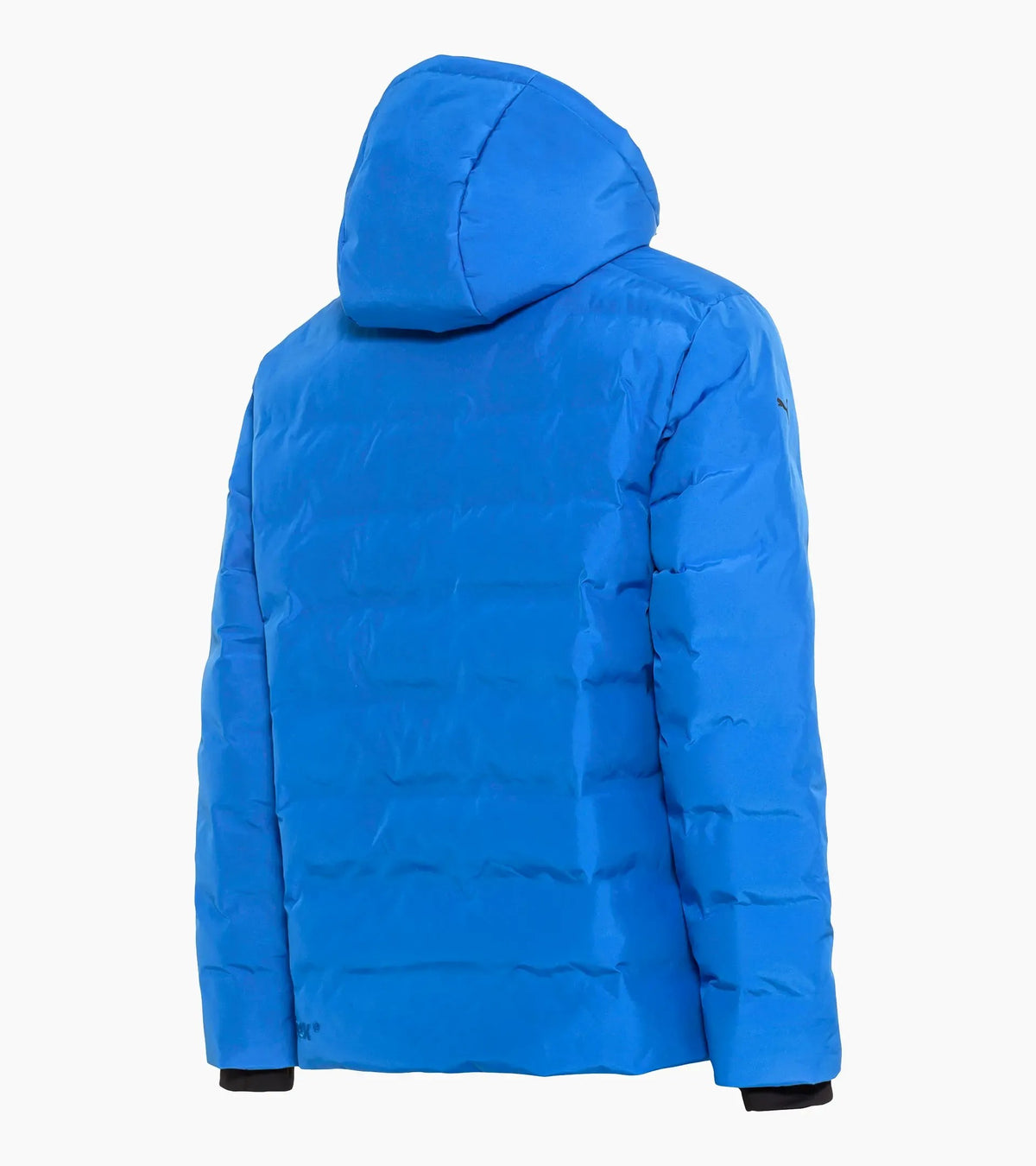 Padded Jacket | Porsche Design Best Price