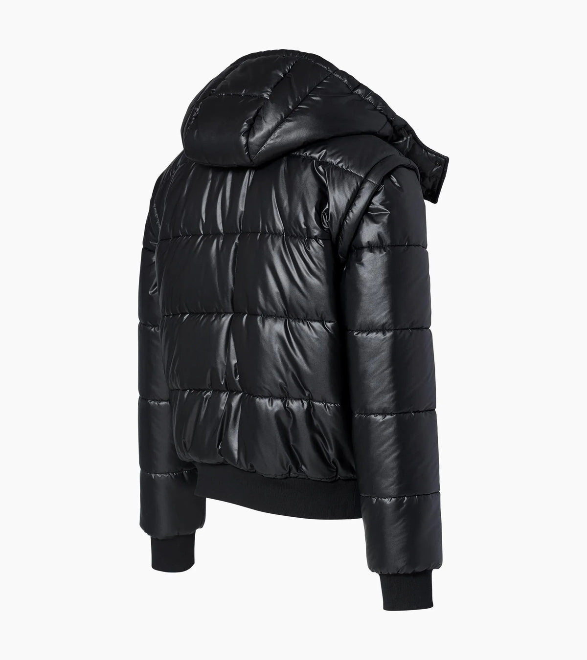 Functional Hybrid Bomber | Porsche Design Essential
